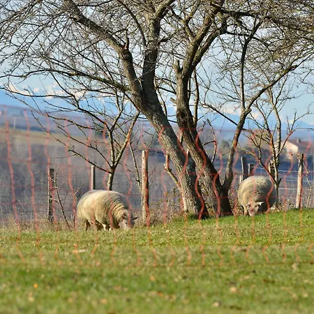 Chaumarty Ecogites *