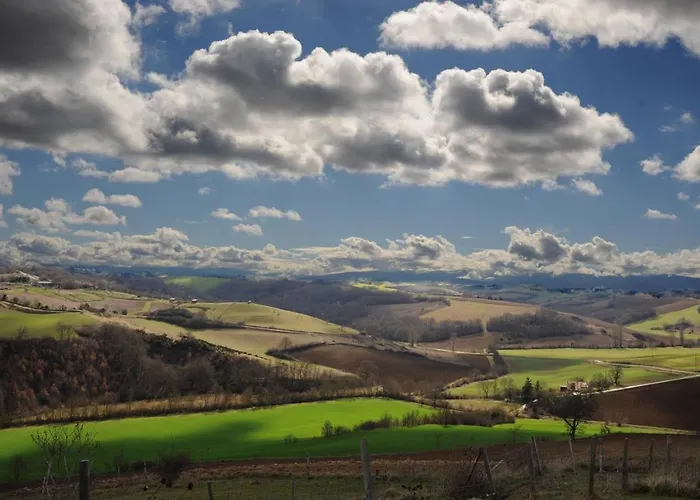 Chaumarty Ecogites Gaillac-Toulza