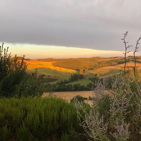 別荘 Chaumarty Ecogites Gaillac-Toulza