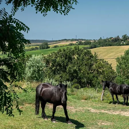 Chaumarty Ecogites 別荘 *