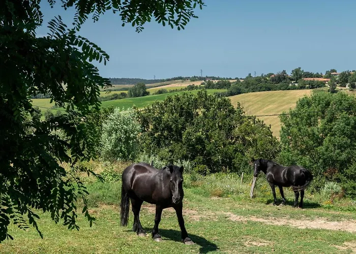 Chaumarty Ecogites Semesterbostad *