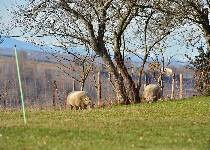 Chaumarty Ecogites *